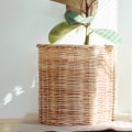 Does Changing Air Filter Improve Air Quality?
