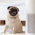 Does the Brand of Home Air Filter Really Matter?